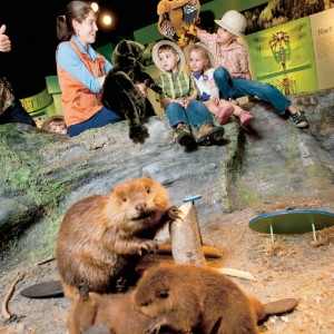 Musee de la nature et des sciences de Sherbrooke / Crédit: Jocelyn Riendeau