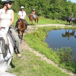 centre d’équitation Jacques Robidas-cantons est