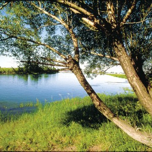 paysage ile boucherville