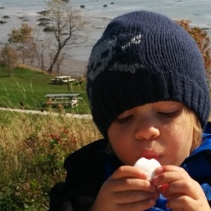 Eliott s'apprête à déguster une guimauve lors d'un pique-nique automnal, à Bergeronnes (Haute-Côte-Nord).